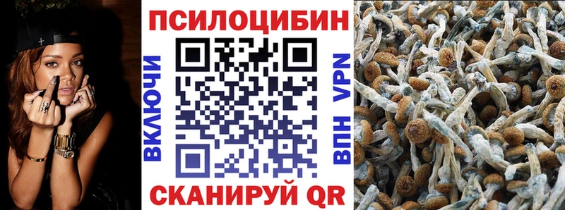 Галлюциногенные грибы мицелий  Озёры 